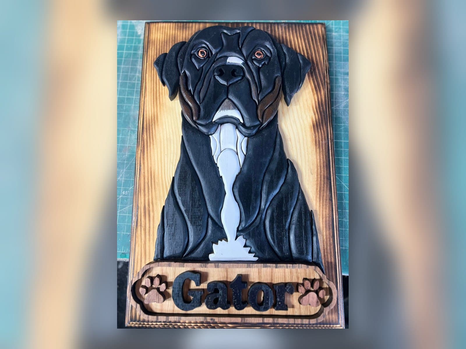 Woodworking project shared by Shane Chrissy Horst.